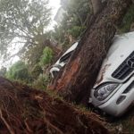 Temporal derriba árboles y daña vehículos